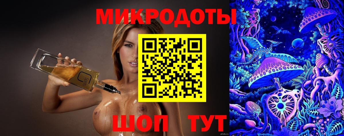 Псилоцибиновые грибы Cubensis Елец