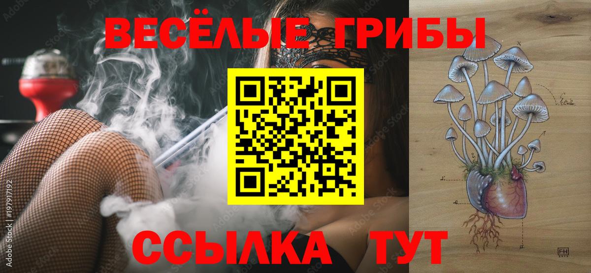 Елец  Псилоцибиновые грибы прущие грибы  Вход с VPN 